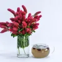 Clover Seeds, Crimson