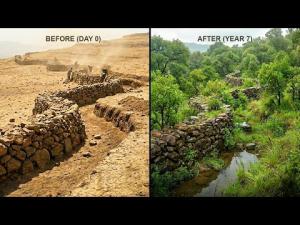 Ethiopia Abandoned Tree Planting In The Desert And Did THIS—Nobody Saw This Coming