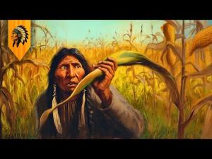 This Native Supercrop Is WAY Better Than Corn And No One Grows It Anymore!