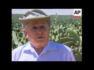 Farmers push cactus as answer to world hunger